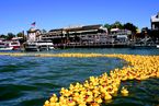 Sacramento River Rubber Duck Race