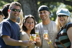 Fair Oaks Brew Festival
